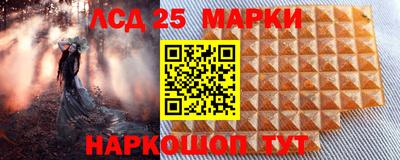 мяу мяу мука Краснознаменск