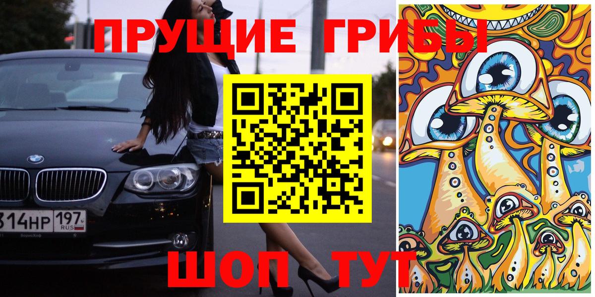 Егорьевск  Псилоцибиновые грибы GOLDEN TEACHER  Вход с VPN 